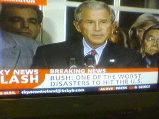 Bush